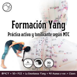 Formación Yang Yoga – TCMYoga®