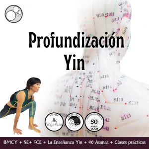 Profundización Yin – TCMYoga®