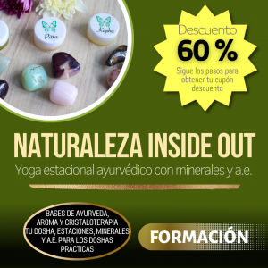 NATURALEZA INSIDE OUT 20 hrs