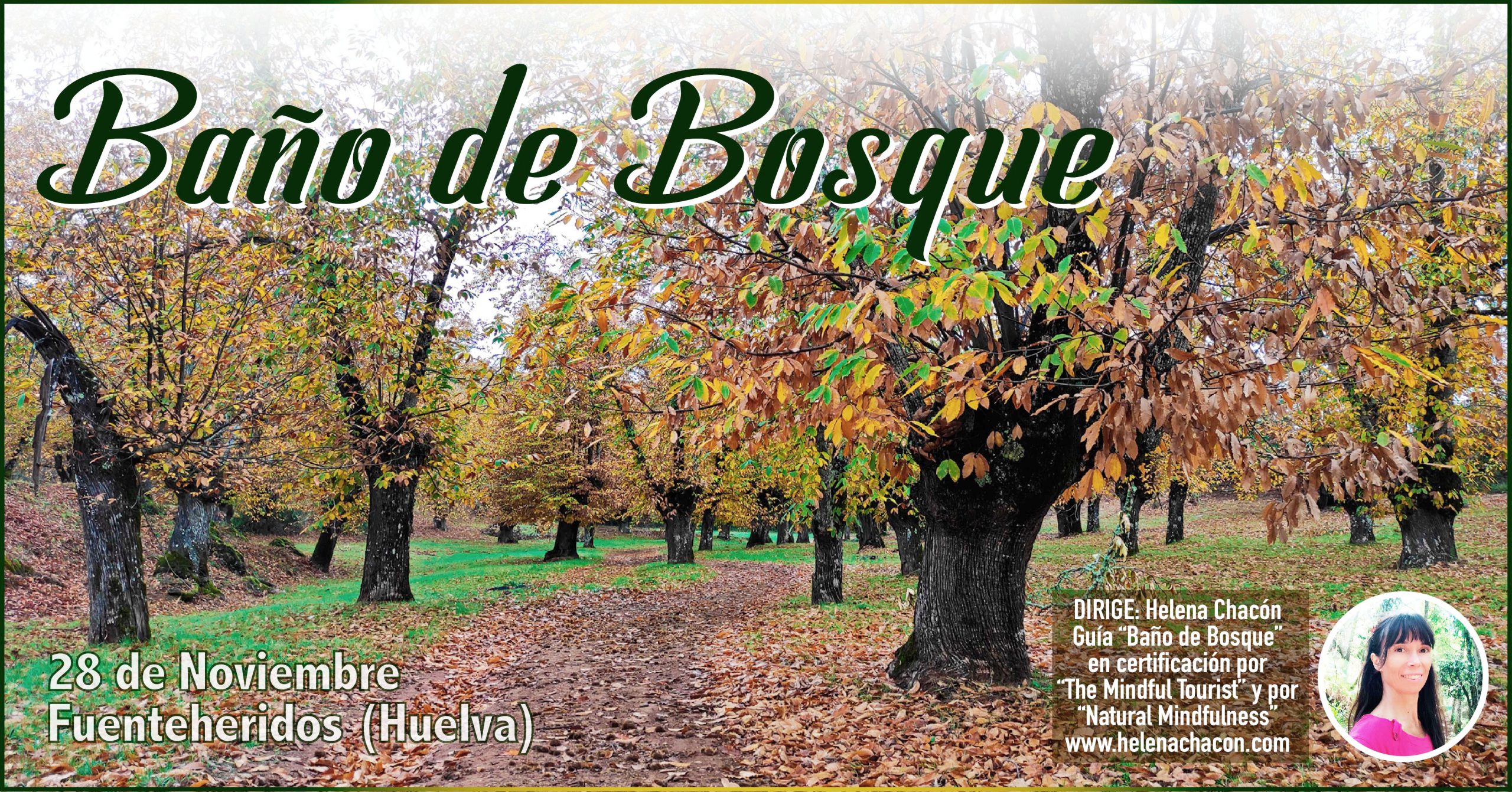 Baño-de-Bosque-Castaño 2