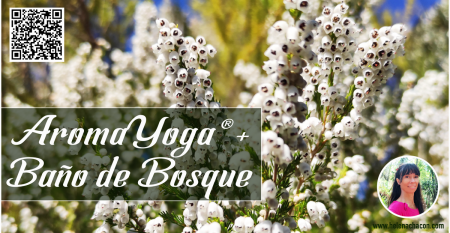 Aroma Yoga + Baño de Bosque