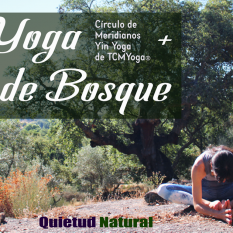 Yin Yoga + Baño de Bosque