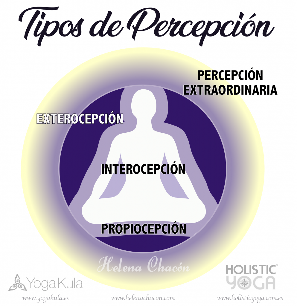 TIPOS DE PERCEPCIÓN. Relación con las prácticas de Holistic Yoga®