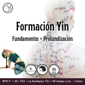 Formación Yin Yoga – TCMYoga®