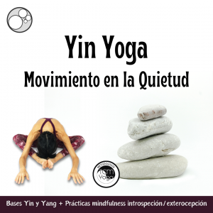 Yin Yoga, Movimiento en la Quietud – Clases prácticas