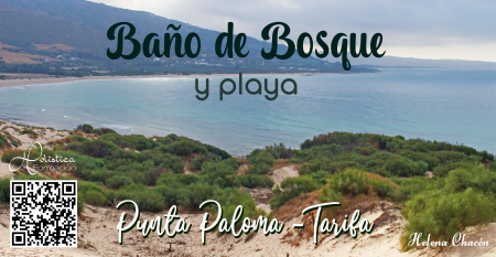 Baño de Bosque y playa Tarifa