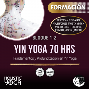 BLOQUE 1 + 2 TCMYOGA® – Pago completo Yin Yoga