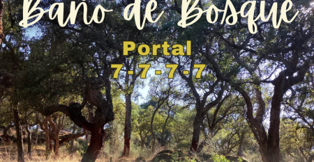 Baño de Bosque portal 7