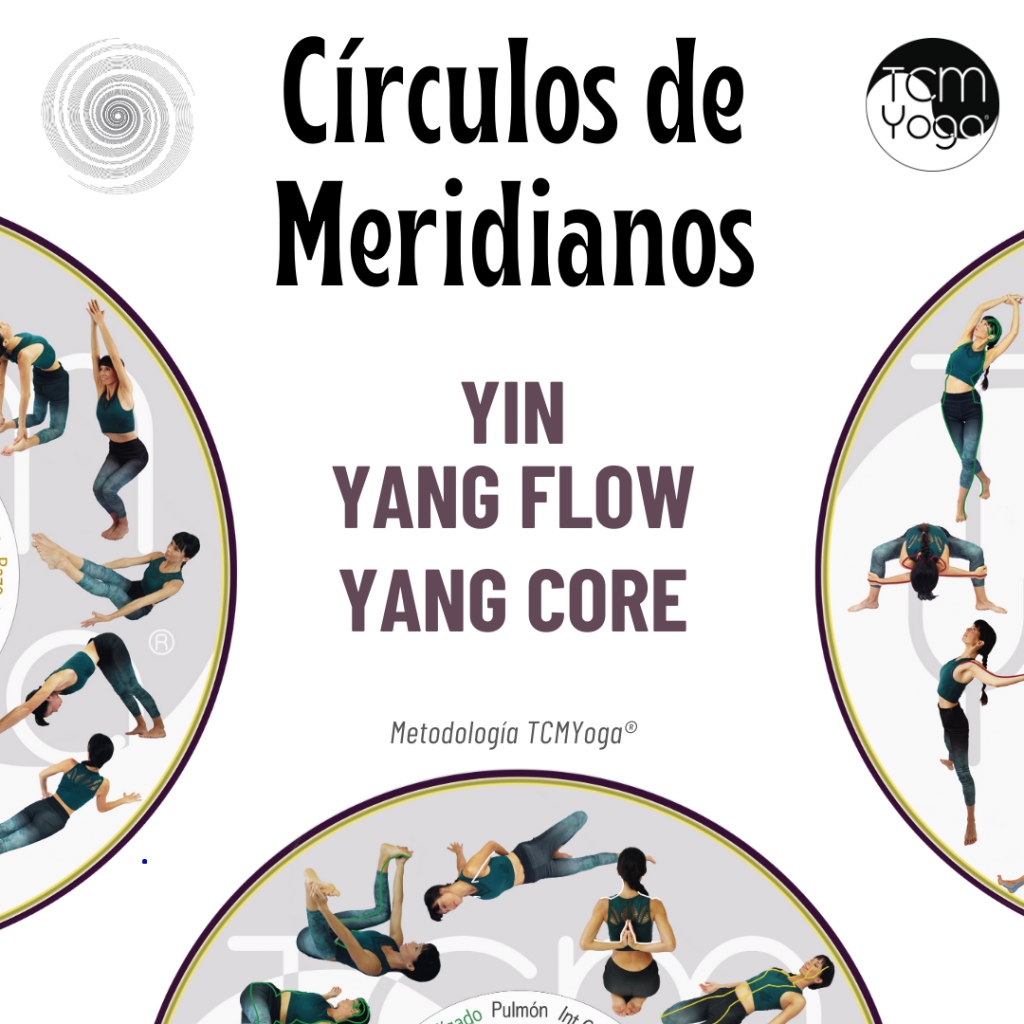 Círculos de Meridianos Yin, Yang Flow y Yang Core