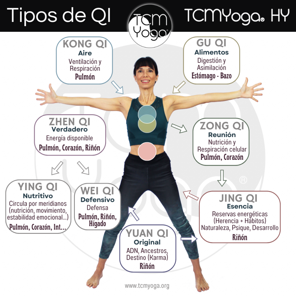 Tipos de Qi según Medicina China. Vínculos con Yoga y Ayurveda
