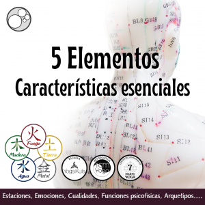 5 Elementos. Características esenciales 5E
