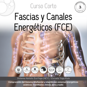 Fascias y Canales Energéticos FCE