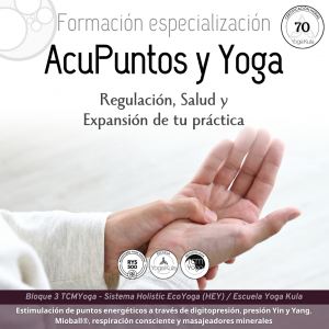 miniatura del curso