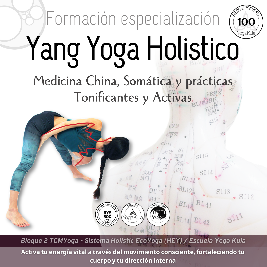 3. Yang Yoga