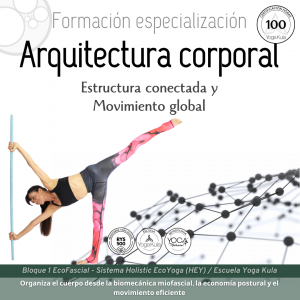 miniatura del curso