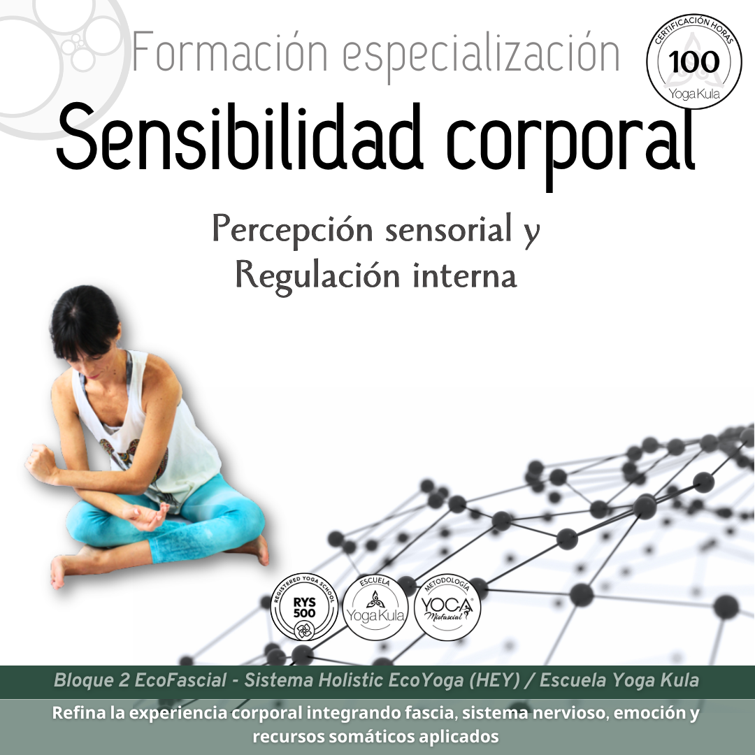 4. Sensibilidad