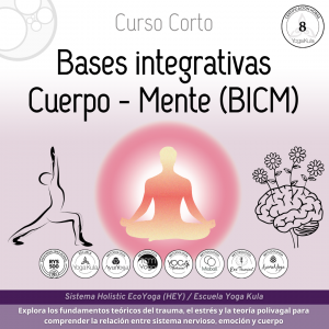 miniatura del curso