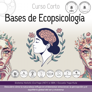 miniatura del curso
