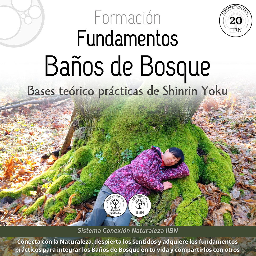 8. Baño de Bosque