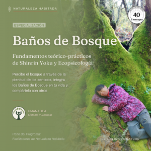 miniatura del curso