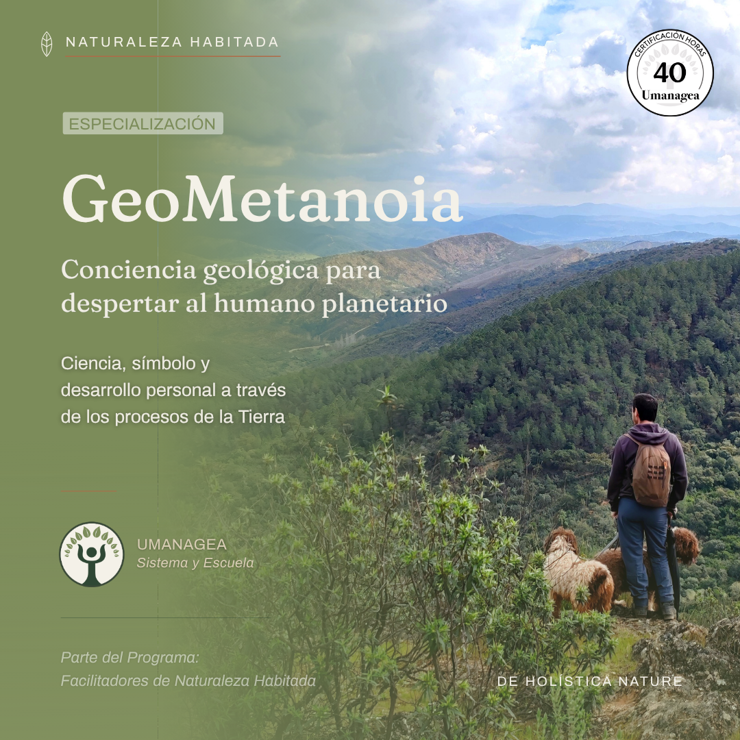 4. GeoMetanoia