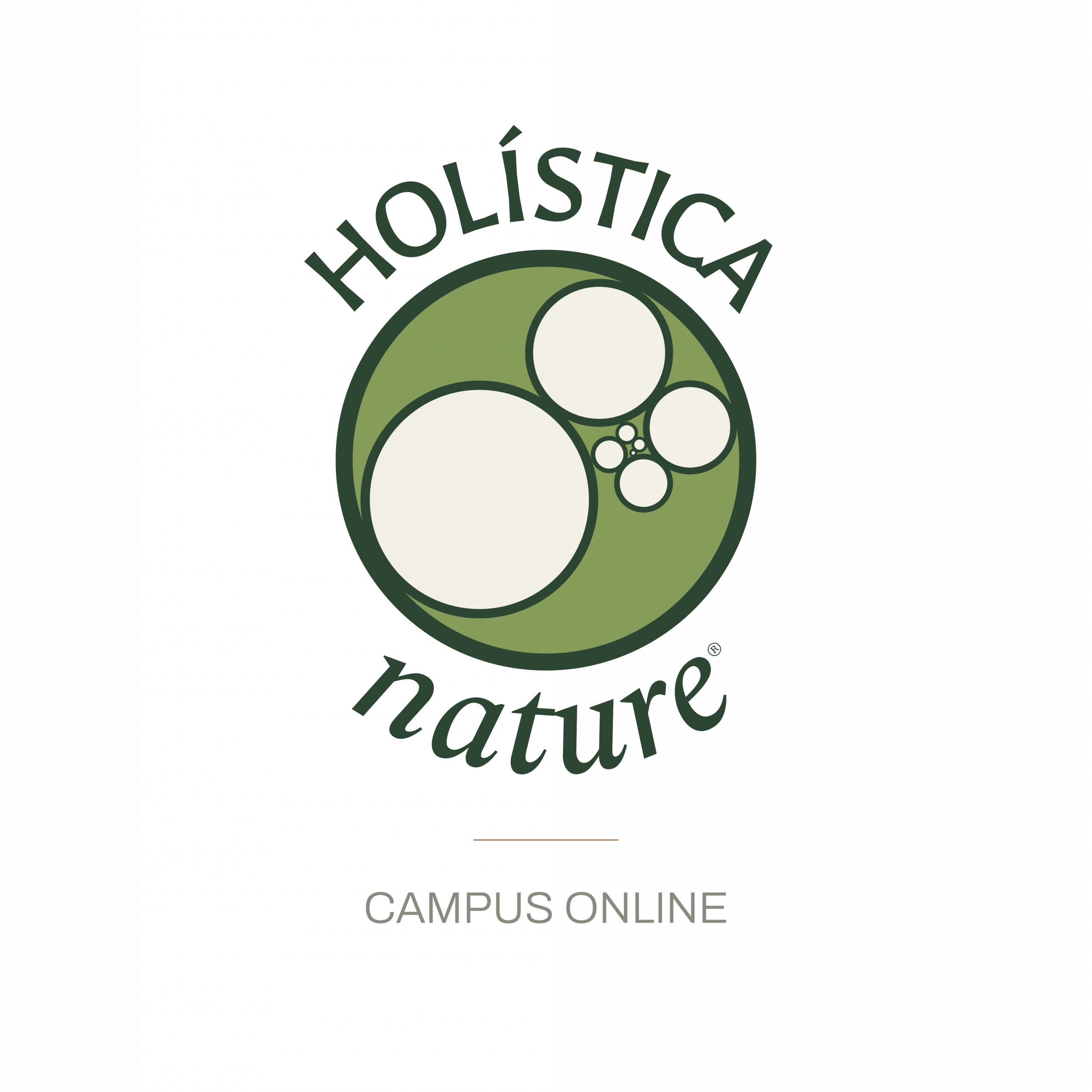 Holística Formación