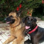 Foto del perfil de Mimi